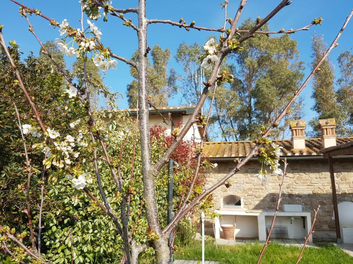 Villino Il Paduletto Villa Casa Paduletto Exterior photo